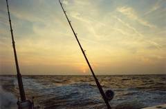 fishing image